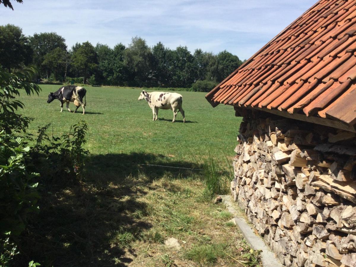 Landelijk Gelegen Huisje Op Erf Veeningen Zewnętrze zdjęcie