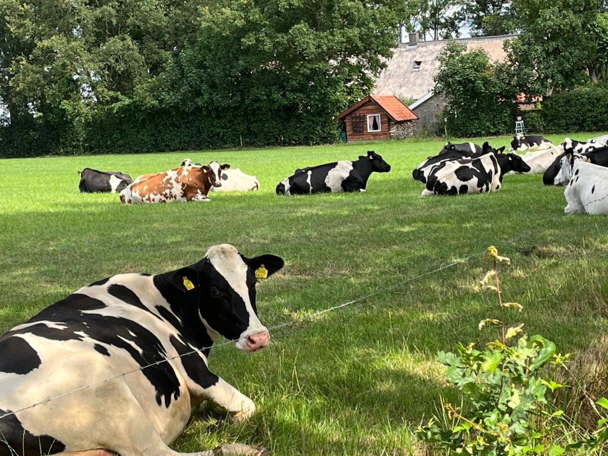 Landelijk Gelegen Huisje Op Erf Veeningen Zewnętrze zdjęcie