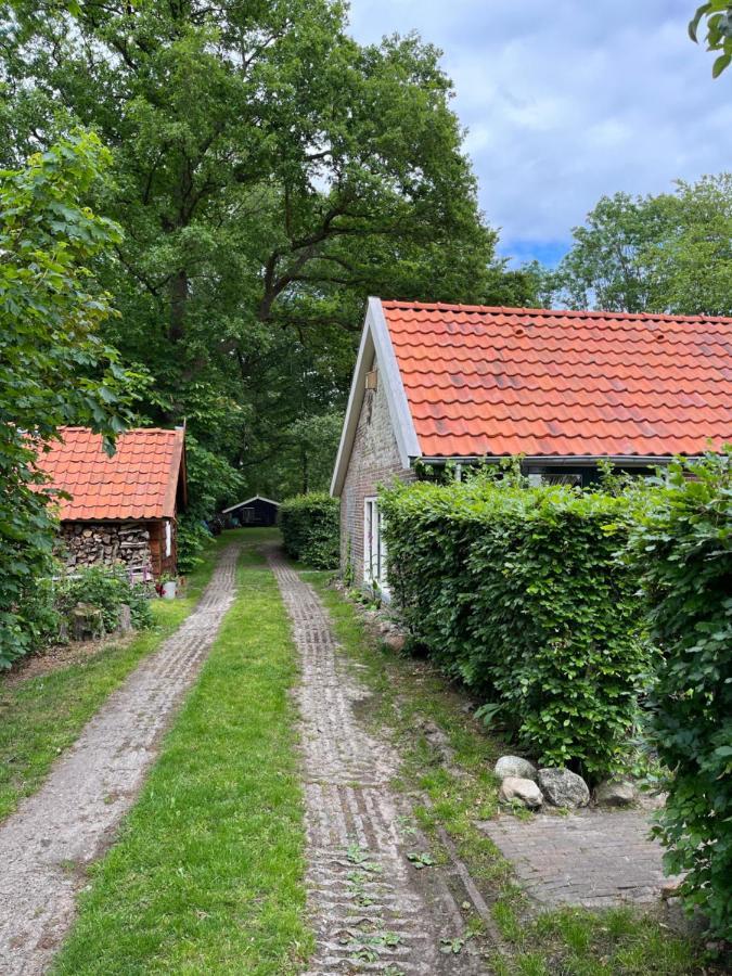 Landelijk Gelegen Huisje Op Erf Veeningen Zewnętrze zdjęcie